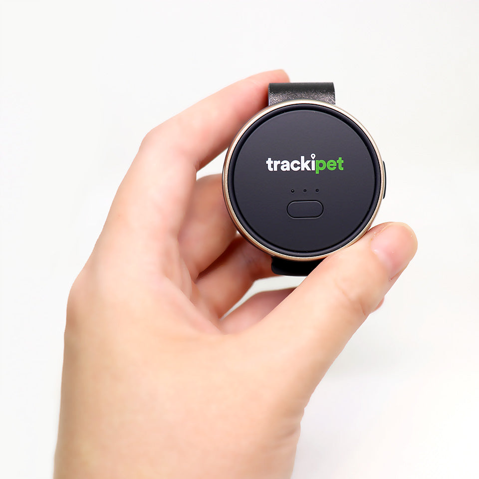 【特典付き】トラッキペット TrackiPet 4Gモデル TRKI006-T【3か月分の通信費込み】