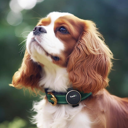 【特典付き】トラッキペット TrackiPet 4Gモデル TRKI006-T【3か月分の通信費込み】